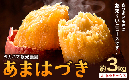 タカハマ観光農園 の あまはづき 3kg タカハマ観光農園《9月下旬-12月末頃出荷》熊本県 大津町 さつまいも 芋 いも イモ あまはづき アマハヅキ 送料無料