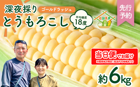 とうもろこし ゴールドラッシュ 6kg 茨城県産 トウモロコシ 深夜採り 当日便