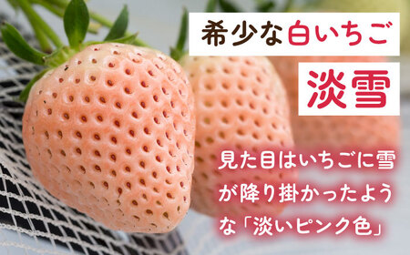 【2027年1月以降順次発送】淡いピンクの白いちご「淡雪」220g×4パック / 佐賀県 / 岸川農園 [41ASAG013]