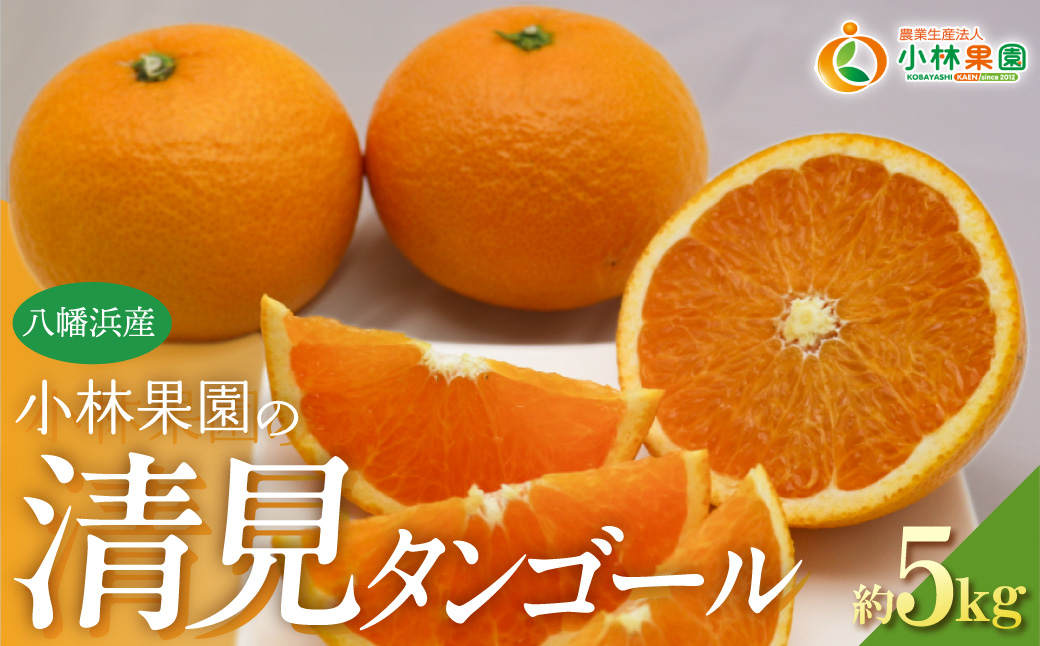 【先行受付】小林果園の清見(約5kg)【C24-25】 YWTAD018