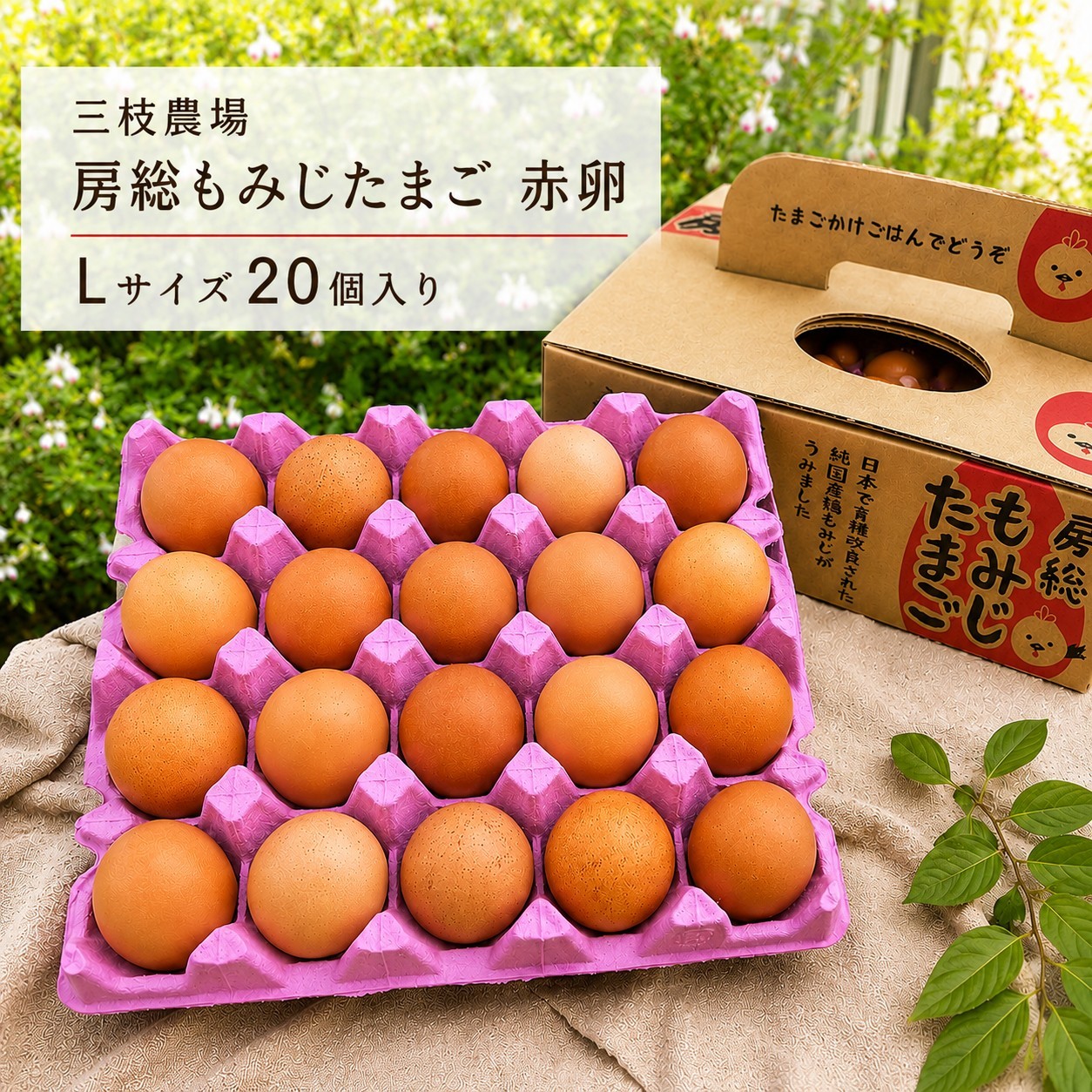 三枝農場の赤玉 ｌサイズ 20個