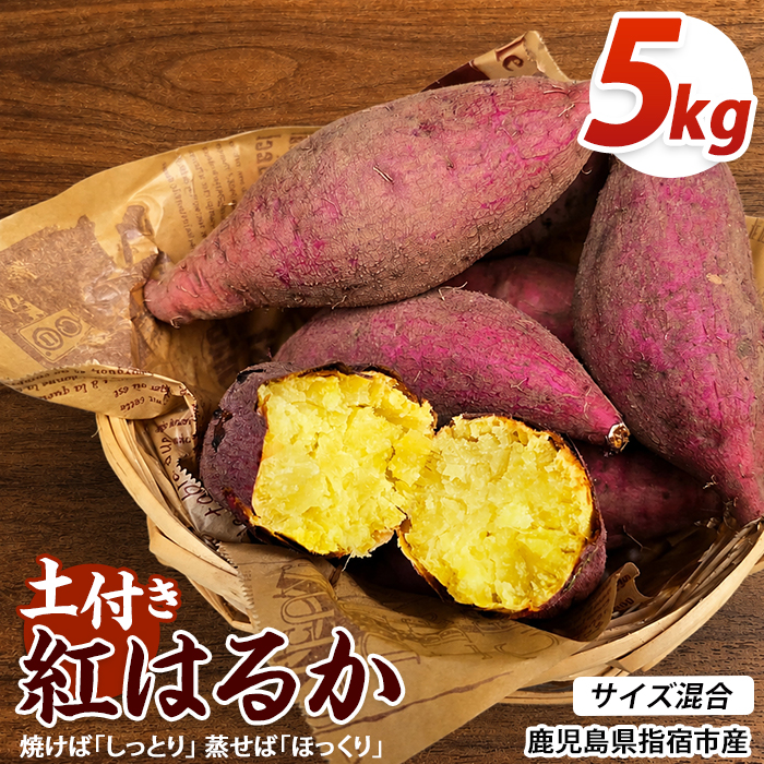 【2026年10月上旬～順次発送】＜訳あり＞鹿児島県産さつまいも 紅はるか 約5kg (アグリファースト/IB162-002) 鹿児島 さつまいも さつま芋 サツマイモ 野菜 おやつ 常温