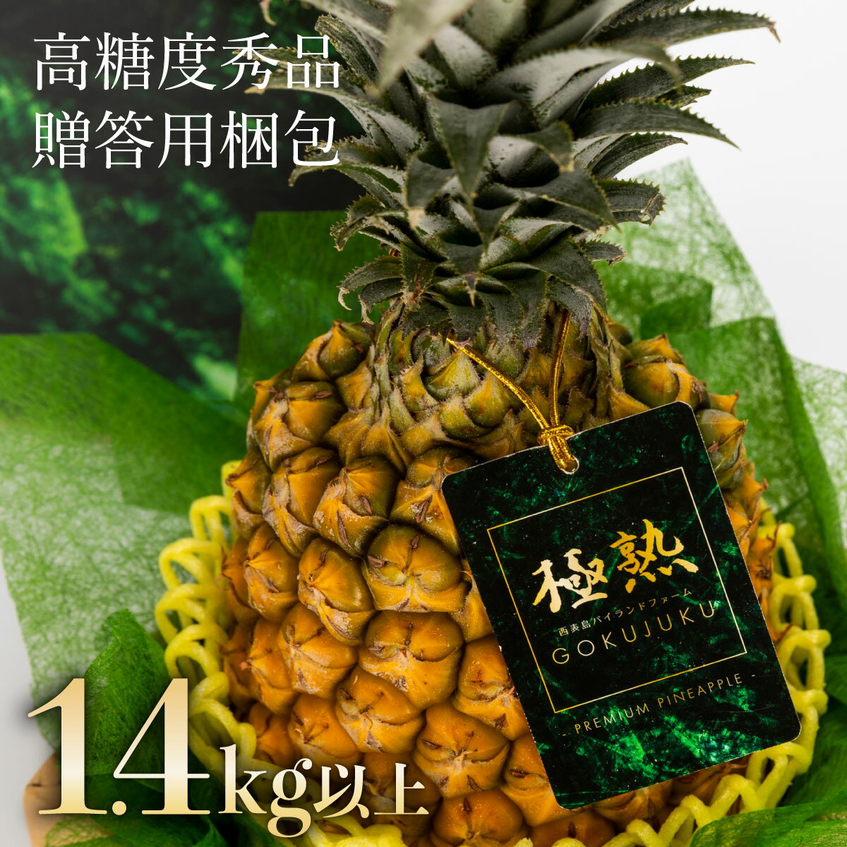 【ふるさと納税】GOKUJUKU -極熟- プレミアム スナックパイン 1.4kg以上 1玉　2026年　先行予約 パイナップル 沖縄 高糖度秀品 贈答用 贈り物 パイン 果物 フルーツ デザート 希少 西表島