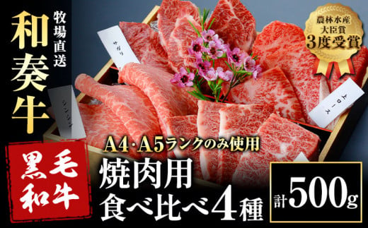 厳選 くまもと黒毛和牛 焼肉用食べ比べ4種 500g《30日以内に出荷予定(土日祝除く)》熊本県 大津町 和牛焼肉LIEBE くまもと黒毛和牛 厳選部位 上ロース ハラミ サガリ シンシン 冷蔵 リーベ