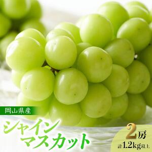 ぶどう 2026年 先行予約 岡山県産 シャインマスカット 2房 計1.2kg以上＜ジューシーで上品な甘みと高貴な香り＞ | フルーツ 果物 くだもの 葡萄 ブドウ ぶどう シャインマスカット 岡山 岡山県産 国産 贈答用 ギフト プレゼント ジューシー 上品 フルーツ 果物 くだもの