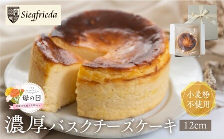【遅れてごめんね母の日（2026年5月11日～15日お届け）】バスクチーズケーキ（12cm×12cm）【32-4mo】