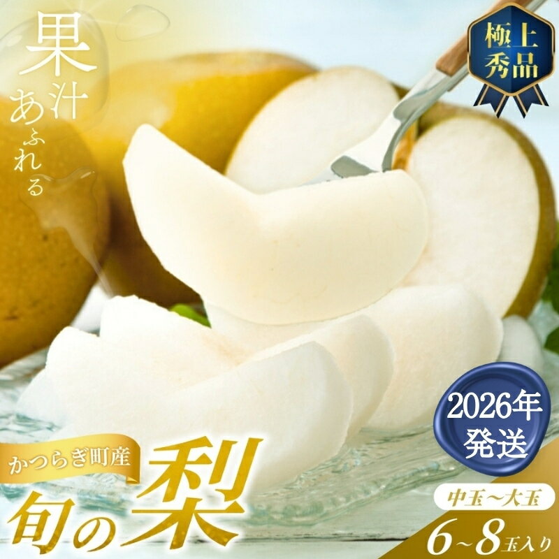 【ふるさと納税】 【2026年発送分先行予約】 旬の梨 極上 秀品（中玉～大玉）6～8個入り 【2026年8月中旬～9月中旬頃発送予定】 梨 なし ナシ フルーツ 果物 くだもの 幸水 豊水 あきづき 先行予約 数量限定 お取り寄せ 人気 和歌山県 かつらぎ町 くしがきの里 送料無料