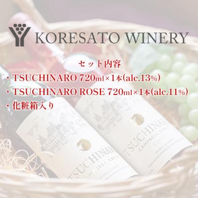 ふるさと納税 赤磐市 是里 ワイン TSUCHINARO 2本 セット 岡山 赤磐市[NO5765-0895] |  | 01