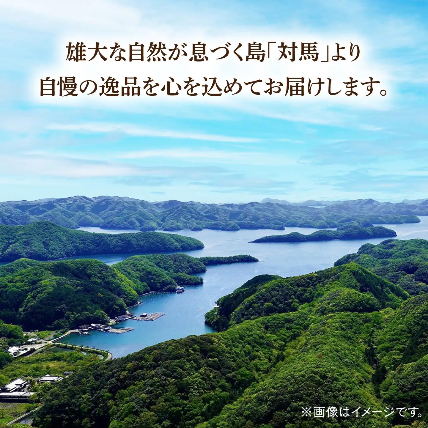 幻の魚 クエ鍋 セット 1.2kg 海鮮 魚介 鍋 高級 [WAD030]