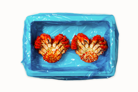 【年内配送対応可○】【北海道根室産】花咲かに700g×2尾(計1.4kg) F-20013