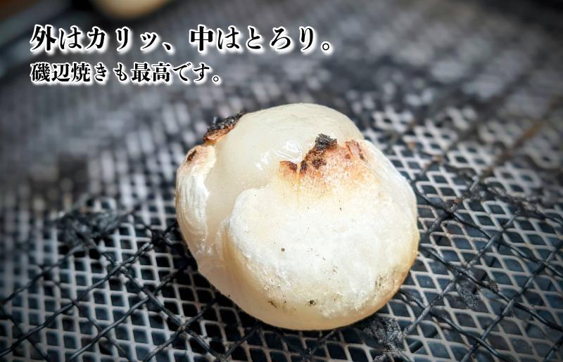 【無添加】老舗職人の杵つき生丸餅（白）約500g 【小分け 50g×10個 解凍するだけで“つきたて”の粘りと香り】 099H4619