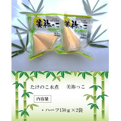 ふるさと納税 美祢市 たけのこの水煮　美祢っこ ハーフ150g×2個 |  | 01