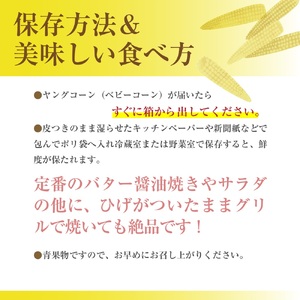 市川三郷町大塚産 ドルチェドリームのベビーコーン 2kg（24本以上）【2025年5月中旬から発送】Kai Sweet Farm[5839-2208]