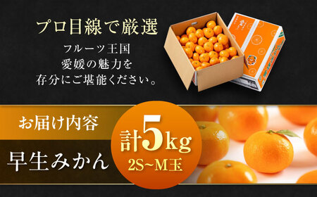 みかん 5kg（早生）【11月中旬から順次発送】みかん[AGAO005]