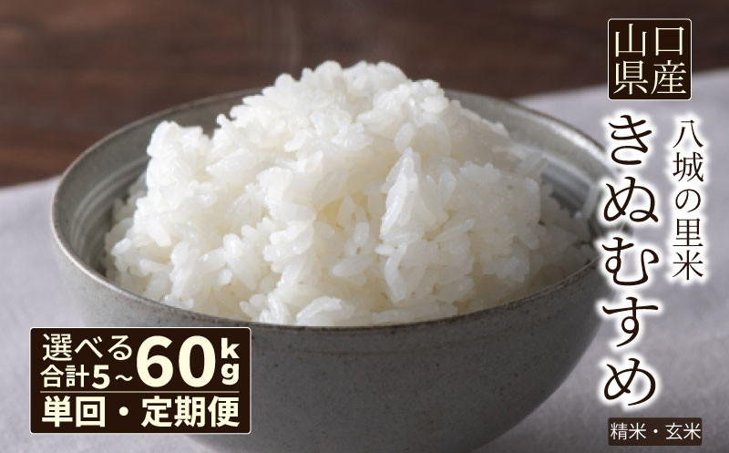 
            【先行予約】令和7年度米 選べる 5kg 10kg 定期便 きぬむすめ （ お米 3ヶ月 6ヶ月 5kg 15kg 30kg 60kg  新米 精米 白米 玄米 ごはん 3回 6回 R6年度米特Aランク受賞 R7 月1回お届け 大容量 ） 下関 山口
          