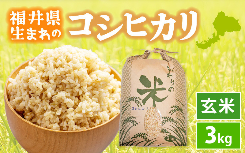 
            【新米】 令和7年産 コシヒカリ 3kg 福井県産【玄米】【お米 こしひかり 3キロ 人気品種】 [e30-a094]
          