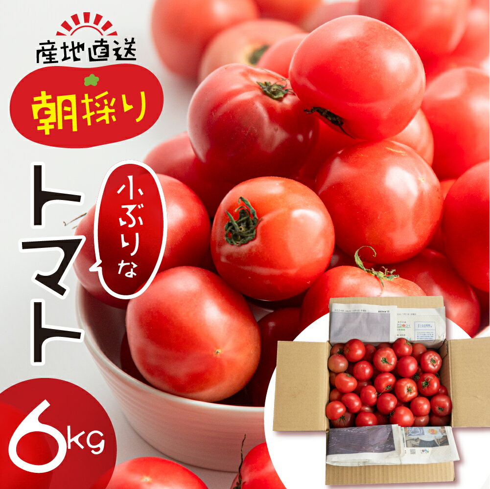 【ふるさと納税】大容量 トマト 6kg 選べる 令和7年産 大玉トマト の 小ぶり サイズ おまかせ 不揃い 訳あり 訳アリ 野菜 岐阜県産 本巣市 朝採り 産地直送 新鮮 期間 数量限定 常温 ポットファクトリー 美味しい 1万 [mt483] 【24ch】