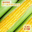 【ふるさと納税】＜2025年発送先行予約＞笛吹市八代産とうもろこし「ゴールドラッシュ」2.4kg ふるさと納税 ゴールドラッシュ とうもろこし トウモロコシ コーン とうきび 蒸し 焼き 野菜 山梨県 笛吹市 八代 送料無料 167-003