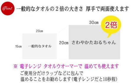 抗菌 消臭 保湿 ウェットタオル 大判（20cm×30cm）厚手 さわやかたおるちゃん （32枚入×30個）  合計960枚 介護 清掃 国産 アルコールフリー 無香料【SPC】