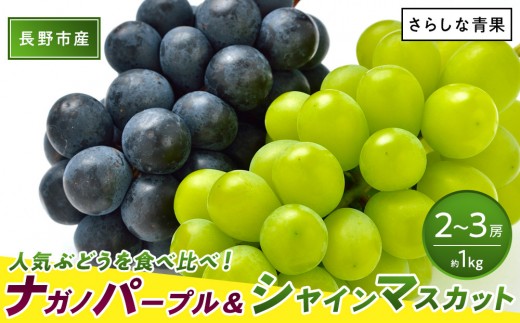 
                  食べ比べ「ナガノパープル&シャインマスカット」約1kg （2～３房）入【2026年9月以降発送予定】(さらしな青果) |  ぶどう 食べ比べ ナガノパープル シャインマスカット 人気 おすすめ 葡萄 ブドウ フルーツ 果物 セット 詰合せ 旬 産地直送 ギフト プレゼント 長野県 長野市 信州 信濃 ふるさと納税
                