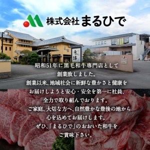 おおいた和牛 スジ肉 すね肉 (合計1㎏) 牛スジ 牛すね カレー シチュー 煮込み 小分け 冷凍 国産 4等級 和牛 牛肉 大分県 佐伯市【DP53】【 (株)まるひで】