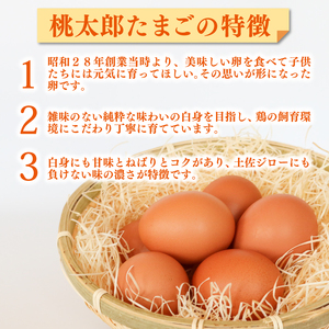 【12回定期便】タマゴ好きにはたまらない 桃太郎たまご 6個入り×5セット | 卵 赤卵 生卵 鶏卵 卵白 卵定期便