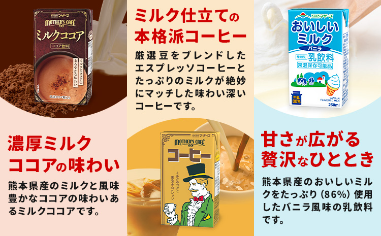 常温保存可能 らくのうマザーズ 詰め合わせ セット 大阿蘇牛乳＆ミルクバニラ 200ml×12本ずつ 計24本 合同会社たべたせいか《30日以内に出荷予定(土日祝除く)》熊本県 菊池市 大阿蘇牛乳 お