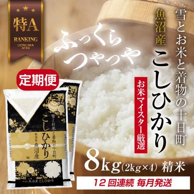 ふるさと納税 十日町市 【毎月定期便】魚沼産 コシヒカリ 8kg 精米 (お米の美味しい炊き方ガイド付)全12回