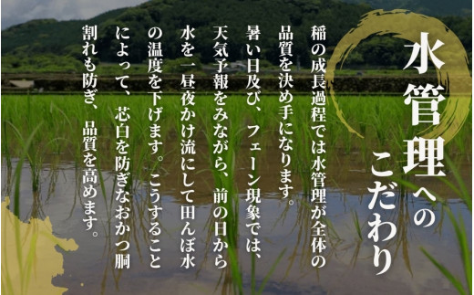 【先行予約】【令和8年産】〈3回定期便〉 【お米ソムリエのお米】 ゆきん子舞 精米 5kg（5kg×1袋） 新潟県 五泉市 エバーグリーン農場