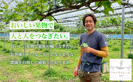 【家庭用】シャインマスカット 約1.4kg 2～3房 FY25-002