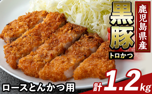 K-373-B かごしま味わい黒豚 とんかつ用ロース肉・トロかつ(計1.2kg)【KNOT】