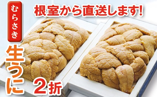 A-71004 ムラサキウニ70～80g×2折[7月上旬以降発送]