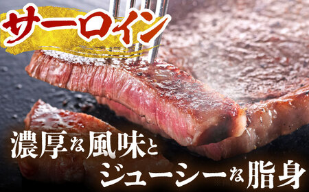 【全6回定期便】佐賀牛 ステーキ食べくらべセット（赤身・サーロイン・ヒレ）総計2.8kg HCS116 ステーキ 和牛