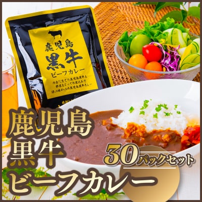 鹿児島黒牛ビーフカレー(160g×30P) 【新村畜産】　C01007