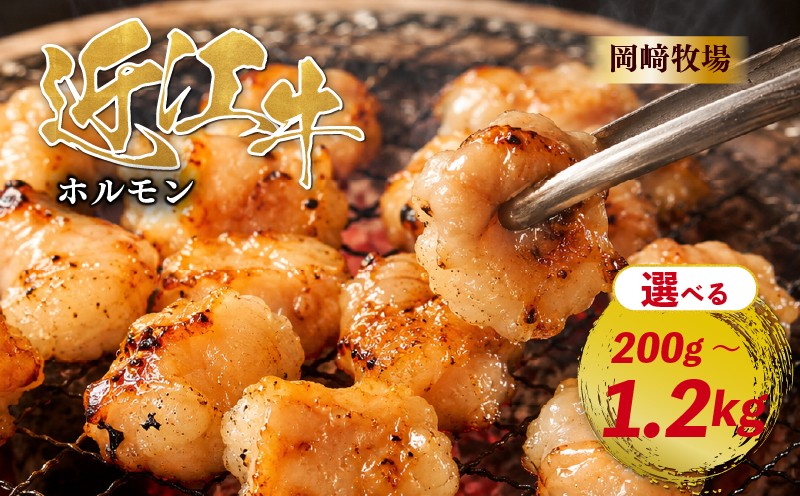 
                  近江牛 ホルモン 200g ～ 1.2kg 完熟近江牛 近江日野牛 ふるさと納税 焼肉 やきにく ホルモン ほるもん 小腸 コプチャン プリプリ 焼き肉 BBQ キャンプ 一人焼肉 焼肉 焼き肉 牛肉 最上級 ブランド 和牛 近江牛 国産牛 肉 にく 近江 牛 松阪牛 神戸牛 に並ぶ 日本三大和牛 長期肥育 生体熟成 熟成 近江牛 プレゼント お取り寄せ 滋賀県 日野町岡﨑 岡崎 精肉店 牧場
                