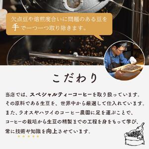 カフェオレベース　２本　(加糖　600ml　瓶）スペシャルティコーヒー【カフェオレ 珈琲 アイスカフェオレ 広島県 尾道市】