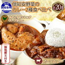 【ふるさと納税】無地熨斗 倶知安 チキンレッグスープカレー＆ビーフカレー 食べ比べ 2種 計20個 北海道 中辛 レトルト 食品 スープカレー 牛肉 チキン 鶏 野菜 じゃがいも 　【レトルトカレー 】