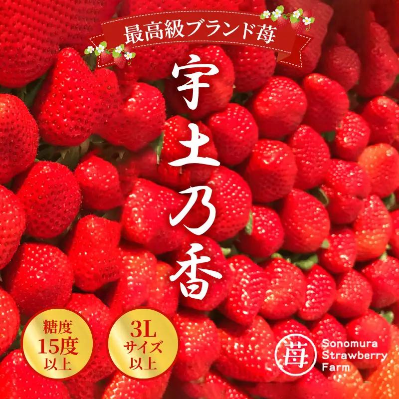 【先行受付】【1月発送】園村苺園 ★最高級苺★糖度15度以上＋3Lサイズ以上★「宇土乃香」苺500ｇ_U74-0051_01