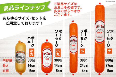 ED192 雲仙ハム ソーセージ小×2本＋ハム×1本 各300g【絶品 人気 ウインナー ソーセージ おつまみ ギフト 肉 お弁当 おかず 小分け 便利 国産 豚肉 お歳暮 お中元 長崎県 島原市】 