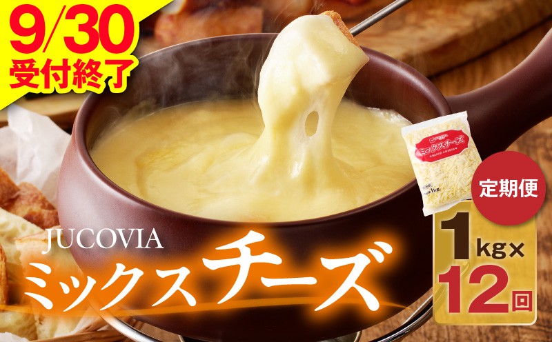 
                  【9/30受付終了】JUCOVIA ミックスチーズ 定期便 1kg×全12回【小分け 普段使い 高評価 ちーず 乳製品 ムラカワチーズ 一人暮らし ファミリー ピザ トースト】
                