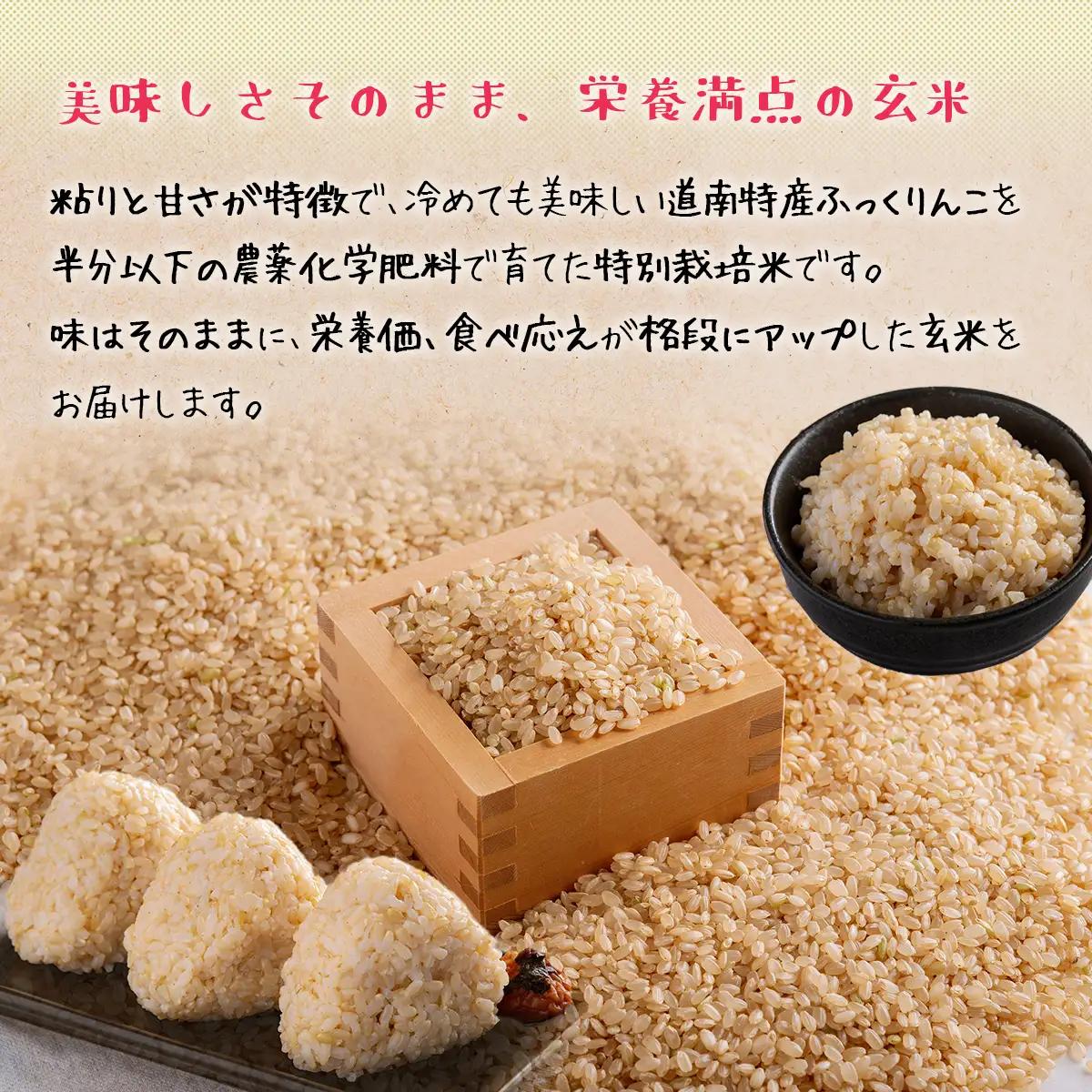 【先行予約】【令和8年産米】ふっくりんこ5kg（玄米） HOKY005