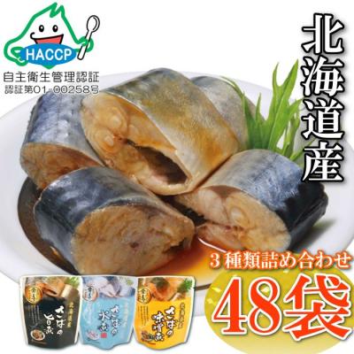 ふるさと納税 根室市 ＜12/14まで年内配送＞さば煮付けセット(3種・各16P) B-09057