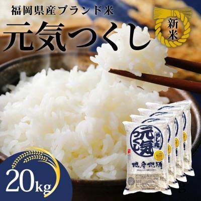 ふるさと納税 筑紫野市 新米!!令和7年産 福岡県産米 元気つくし 合計20kg(5kg×4袋)(筑紫野市)