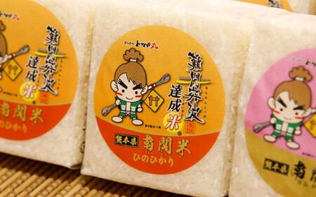 【令和7年産】難関突破達成米 白米 300g×8個 キューブ 精米 熊本県 南関町産 単一原料米 ヒノヒカリ 産地直送 コメ お米 祈願米