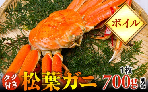 【ボイル】タグ付き松葉ガニ　中1枚（700g前後）◇【着日指定不可】※2026年11月上旬～2027年3月下旬頃に順次発送予定《かに カニ 蟹》|蟹 かに 松葉ガニ 松葉蟹 鳥取県産 北栄町 おすすめ 人気