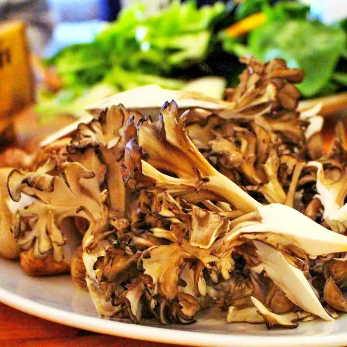 島根県飯南町産 生舞茸セット 約400ｇ×２株【きのこ キノコ 贈答用 ギフト まいたけ】