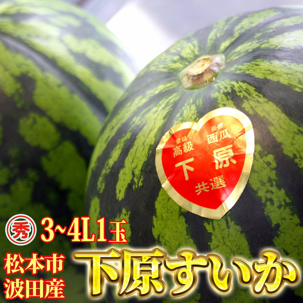 【ふるさと納税】【先行受付：7月～発送】【選べる】スイカ 下原 すいか 信州 松本波田産 2L ( 7kg ～ 8kg ) × 1玉 or 3～4L ( 8kg～11kg ) × 1玉 | すいか スイカ フルーツ 果物 西瓜 波田スイカ 下原スイカ 夏 野菜 長野県 松本市 信州 ふるさと納税