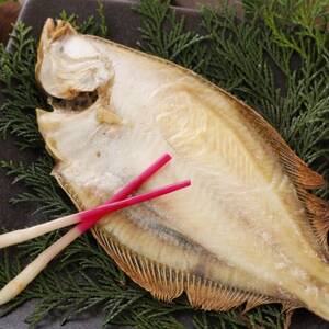 一夜干しかれい「マガレイ 4尾」と「かれいのホイル焼き」を得意料理にするセット【配送不可地域：離島】【1642142】
