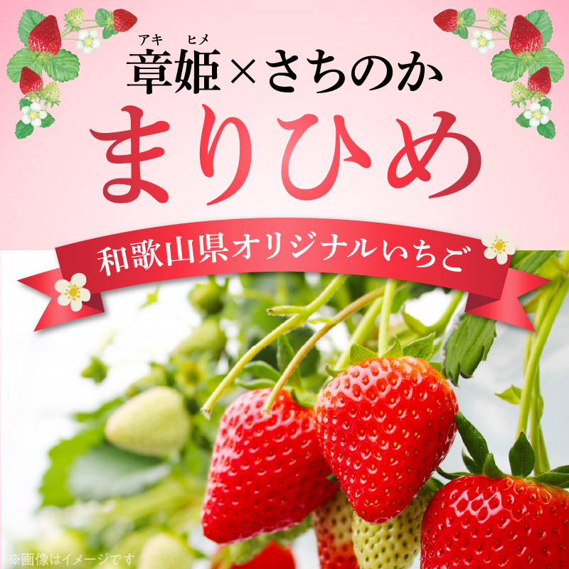 朝摘み 完熟 まりひめ いちご 約300g×4パック (合計約1,200g)_AB7335_イメージ3