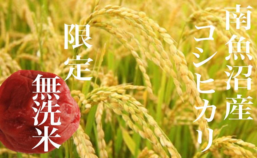 【令和7年産】【定期便】《無洗米》南魚沼産コシヒカリ8Kg×全6回【2025年10月上旬より順次発送予定】